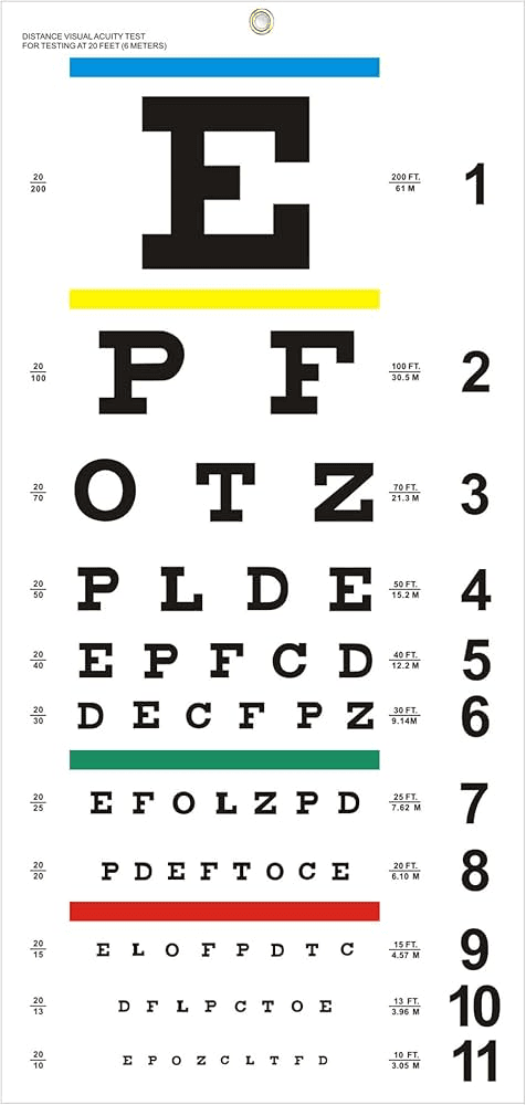 Amazon.com: Eye Chart, Upgraded Snellen Eye Chart for Eye Exams 20 ...